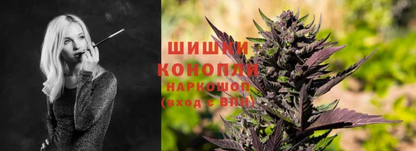 СК Волоколамск