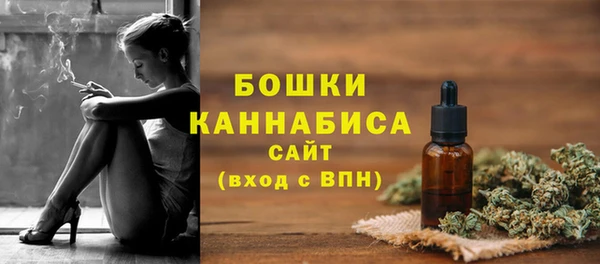 СК Волоколамск