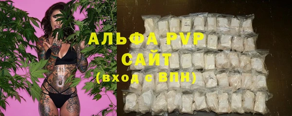 СК Волоколамск