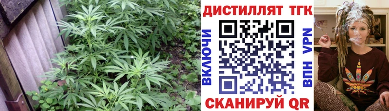 Дистиллят ТГК THC oil  Пудож 