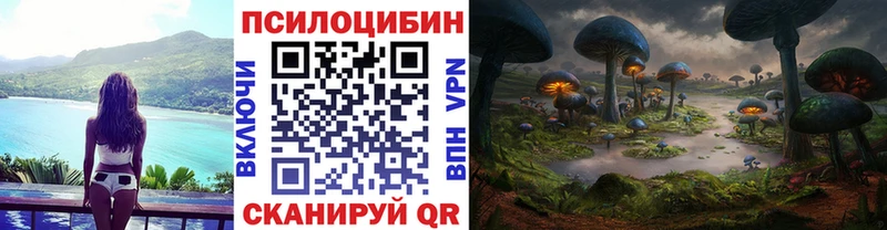 Псилоцибиновые грибы прущие грибы  MEGA онион  нарко площадка телеграм  Пудож 